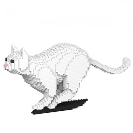 Chat blanc qui court