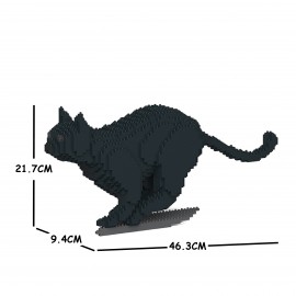 Chat noir qui court
