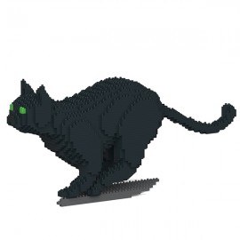 Chat noir qui court