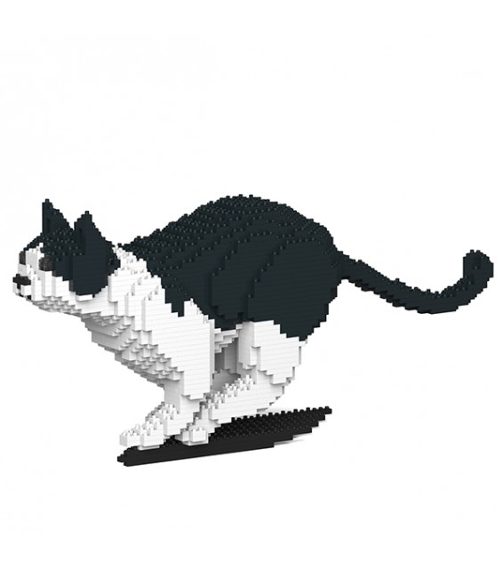 chat noir blanc debout- Jekca