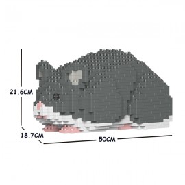 Hamster gris grande taille