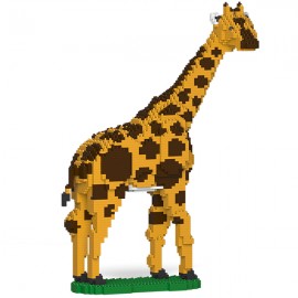 Girafe 