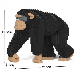 Chimpanzé qui marche