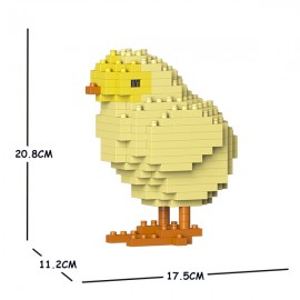 Poussin grande taille