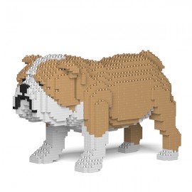 Chien Bulldog Anglais grande taille beige
