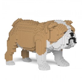 Chien Bulldog Anglais grande taille beige
