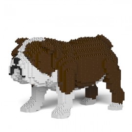 Chien Bulldog Anglais grande taille marron