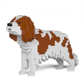 Chien Cavalier King Charles Spaniel grande taille taches marrons