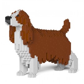 Chien Springer Anglais grande taille 