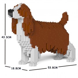 Chien Springer Anglais grande taille 