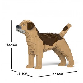 Chien Border Terrier grande taille marron