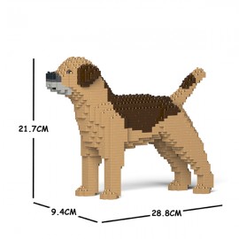 Chien Border Terrier marron