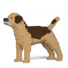 Chien Border Terrier marron