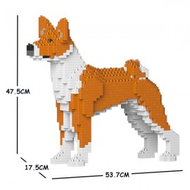 Chien Basenji grande taille roux