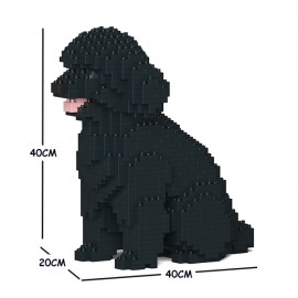 Chien Caniche Nain assis grande taille noir